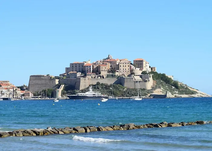 Paradella קלנצאנה